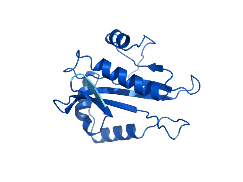 AlphaFold predicted structure of GNA1
