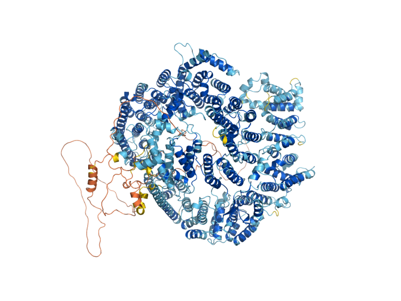 AlphaFold predicted structure of BLM10