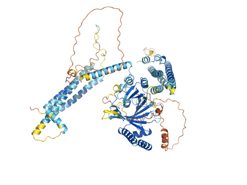 AlphaFold predicted structure of VTC2