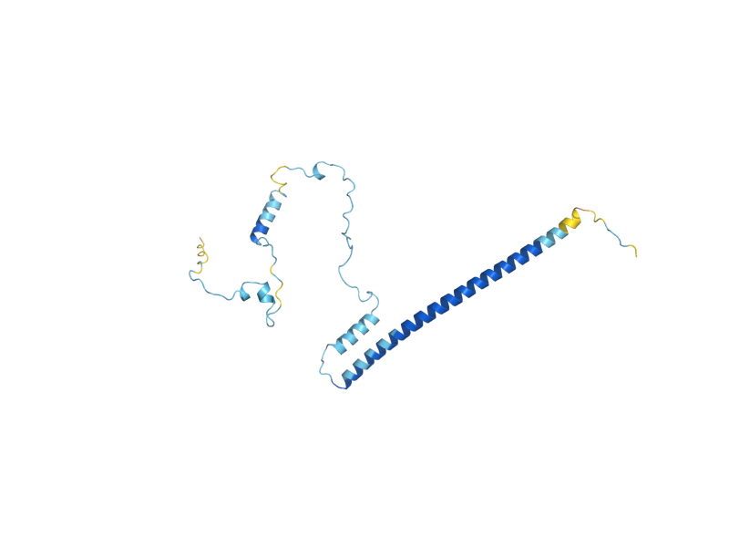 AlphaFold predicted structure of LOC1