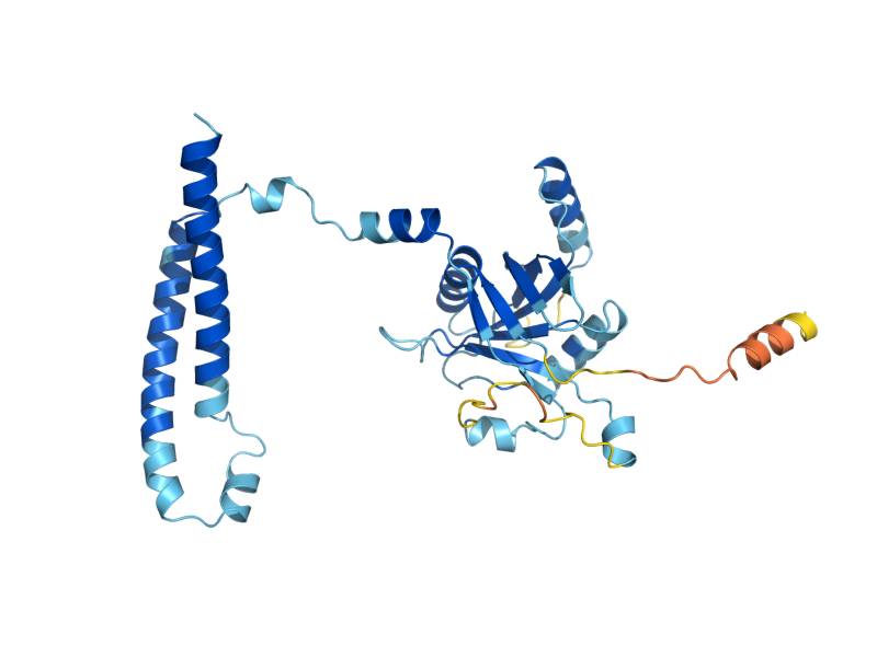 AlphaFold predicted structure of RPN11