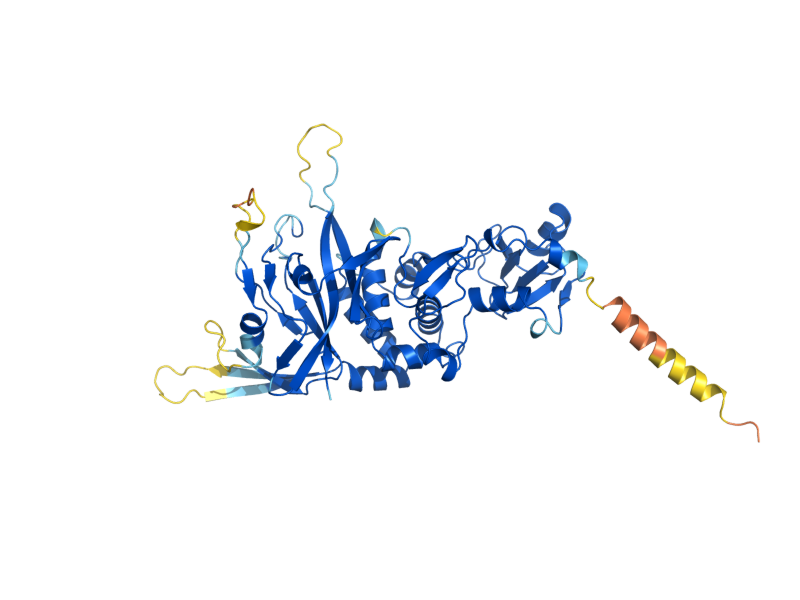 AlphaFold predicted structure of SAD1