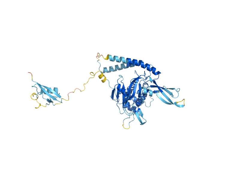 AlphaFold predicted structure of UBP6