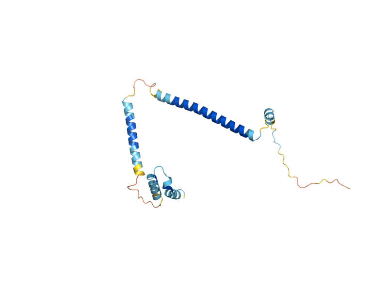 AlphaFold predicted structure of MIC19