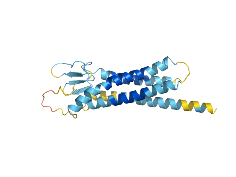 AlphaFold predicted structure of DCV1