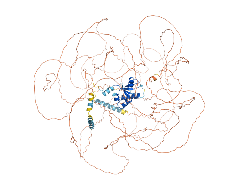 AlphaFold predicted structure of AIP5