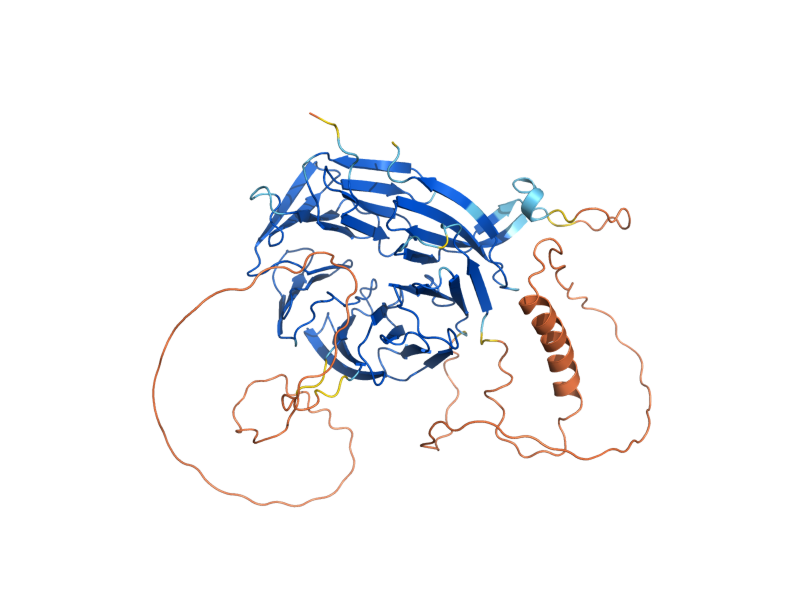 AlphaFold predicted structure of ATG18