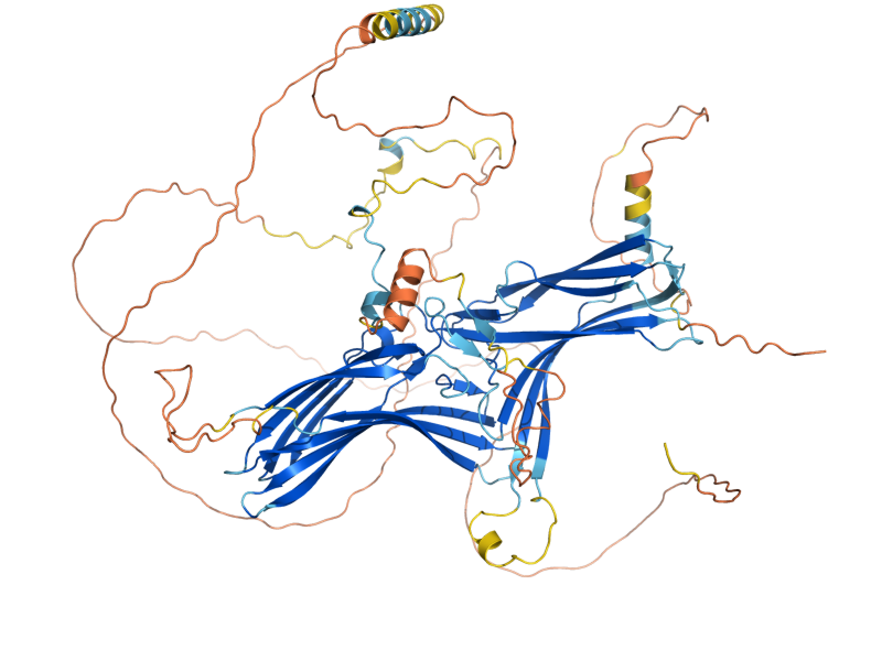 AlphaFold predicted structure of ROG3