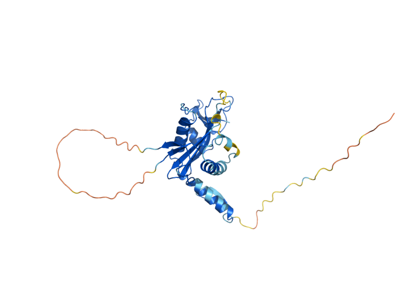 AlphaFold predicted structure of ECO1