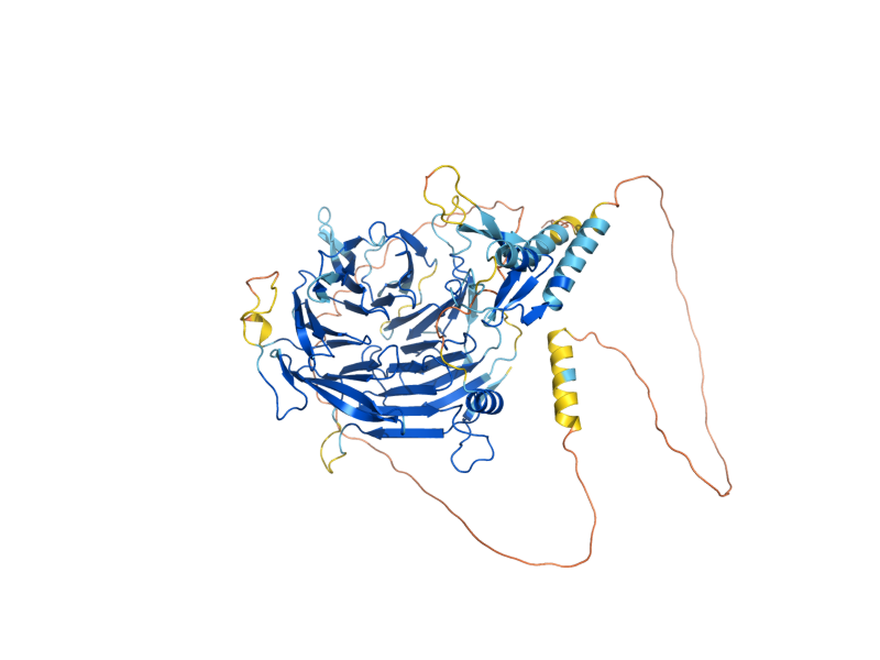 AlphaFold predicted structure of PTR3