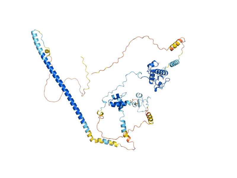 AlphaFold predicted structure of RSC8