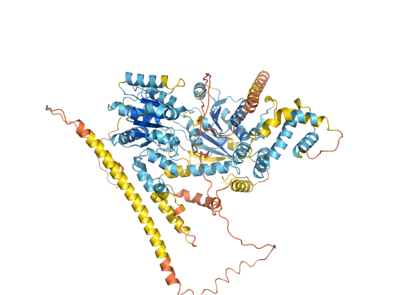 AlphaFold predicted structure of IRC5