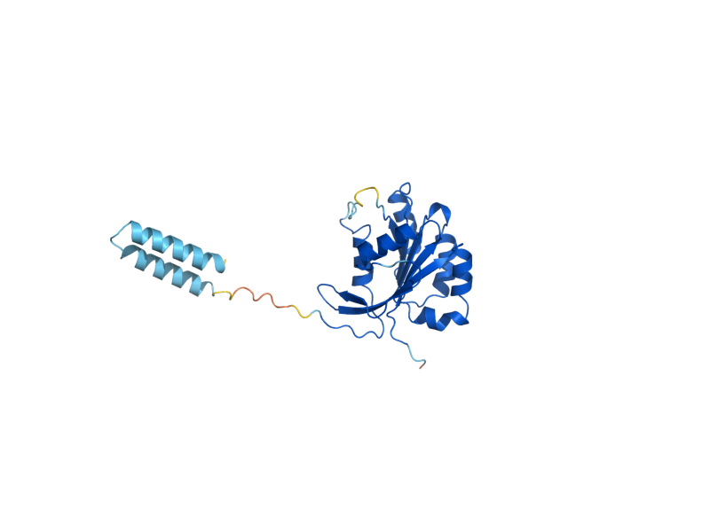 AlphaFold predicted structure of IRC6