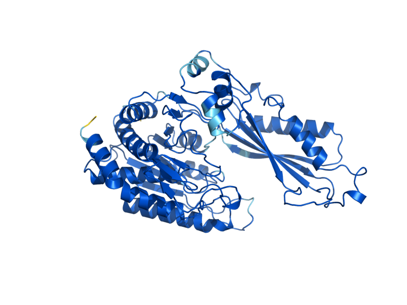 AlphaFold predicted structure of DUG1