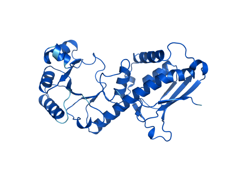 AlphaFold predicted structure of BNA6