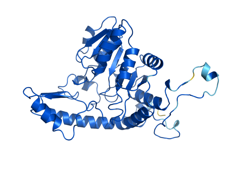 AlphaFold predicted structure of IRC7