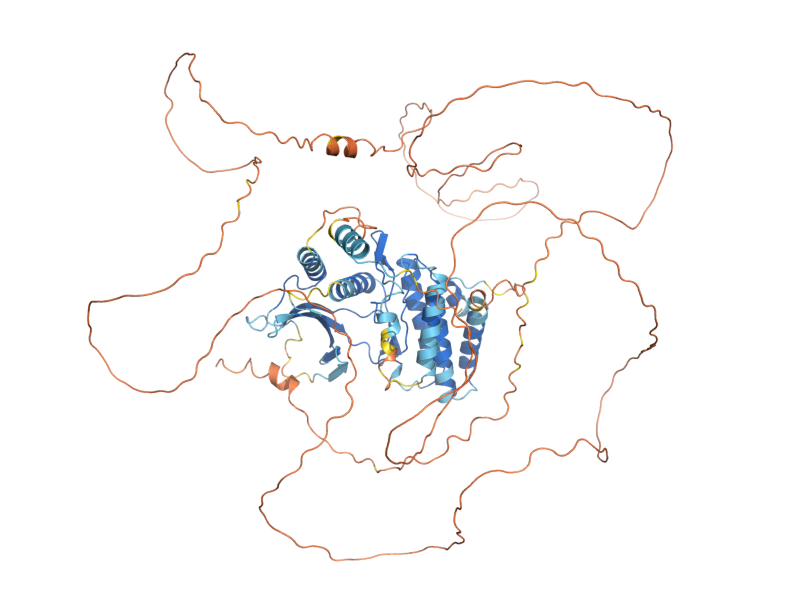 AlphaFold predicted structure of ALK1