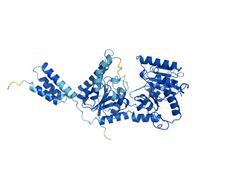AlphaFold predicted structure of ALG2