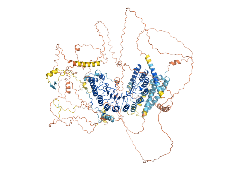 AlphaFold predicted structure of MHP1