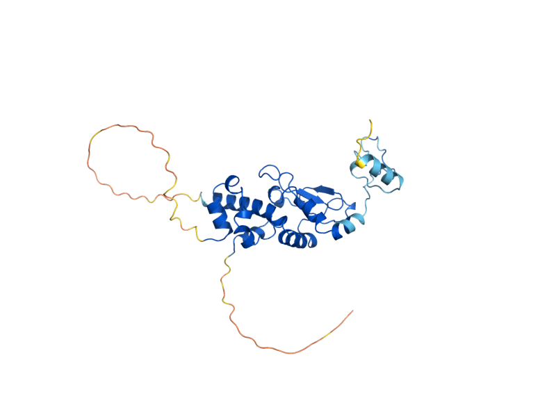 AlphaFold predicted structure of CKB1