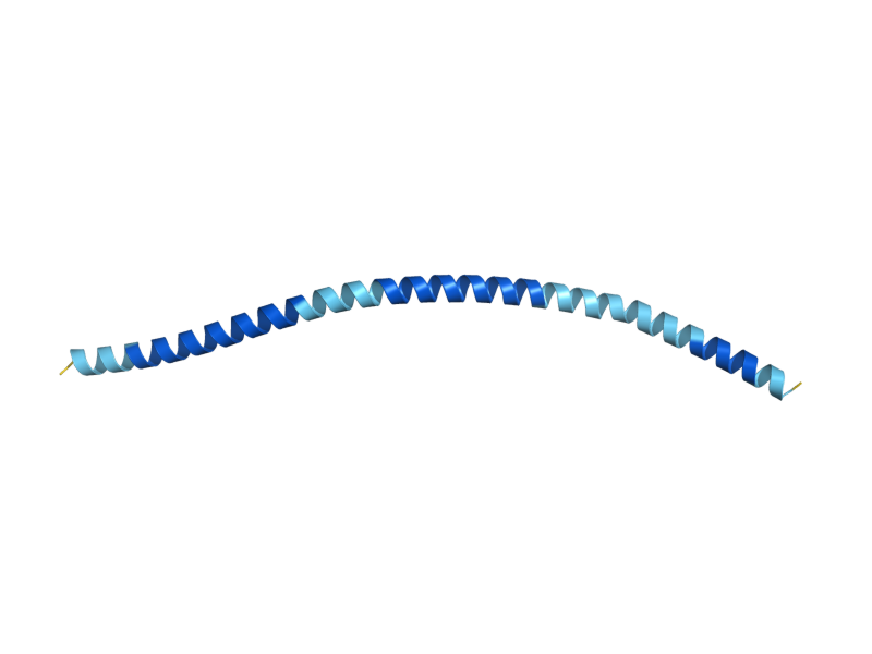 AlphaFold predicted structure of SFT1