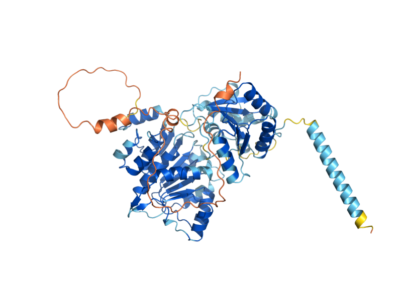 AlphaFold predicted structure of ROK1