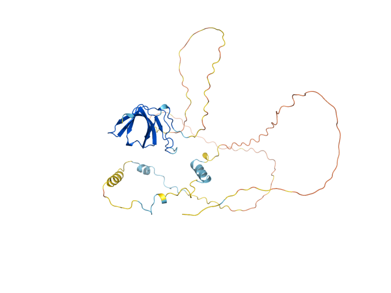 AlphaFold predicted structure of SCD6