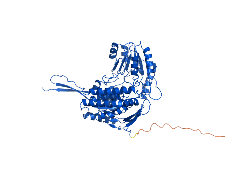AlphaFold predicted structure of ALD4