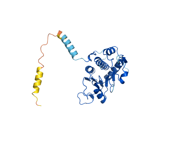 AlphaFold predicted structure of RPS0B