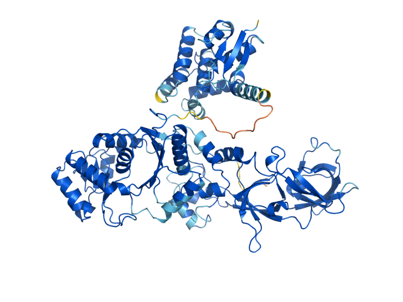AlphaFold predicted structure of GUS1