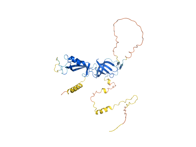 AlphaFold predicted structure of RPA43