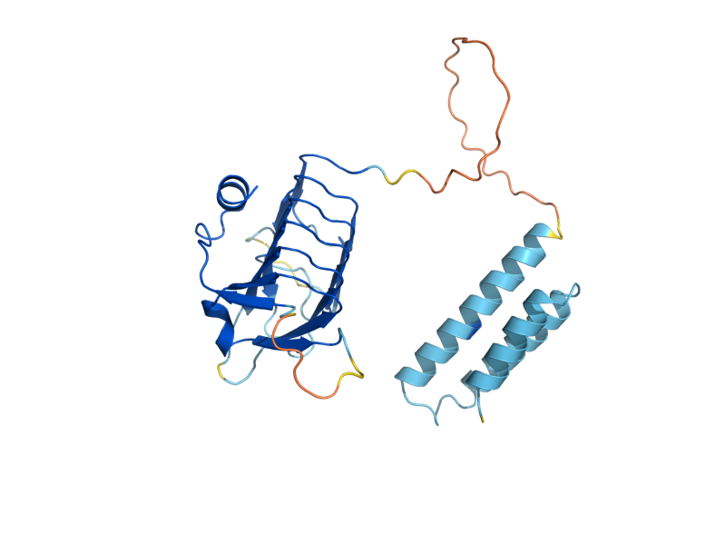 AlphaFold predicted structure of CIN2