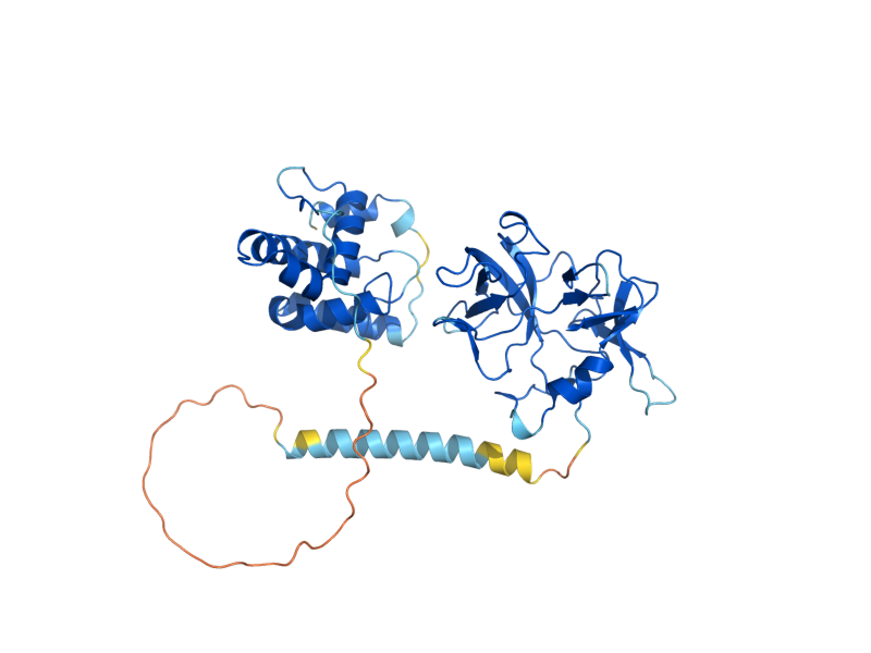 AlphaFold predicted structure of ARC1