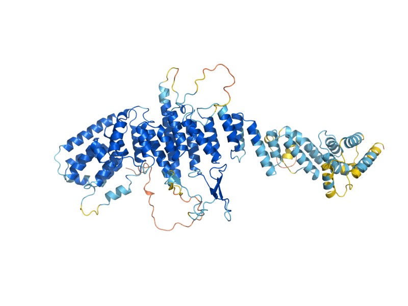 AlphaFold predicted structure of NUP85
