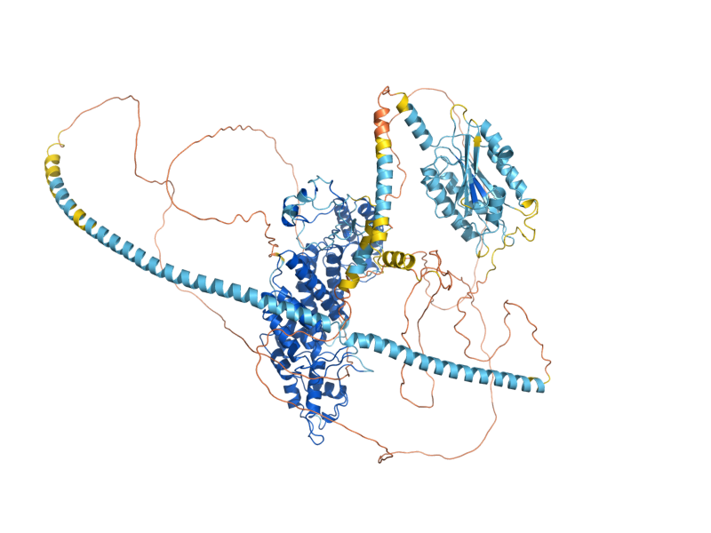 AlphaFold predicted structure of SAC3