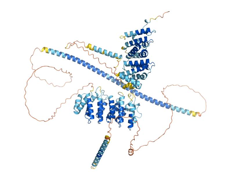 AlphaFold predicted structure of STU2