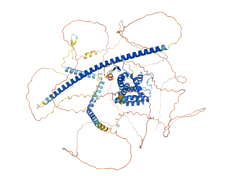 AlphaFold predicted structure of SUM1