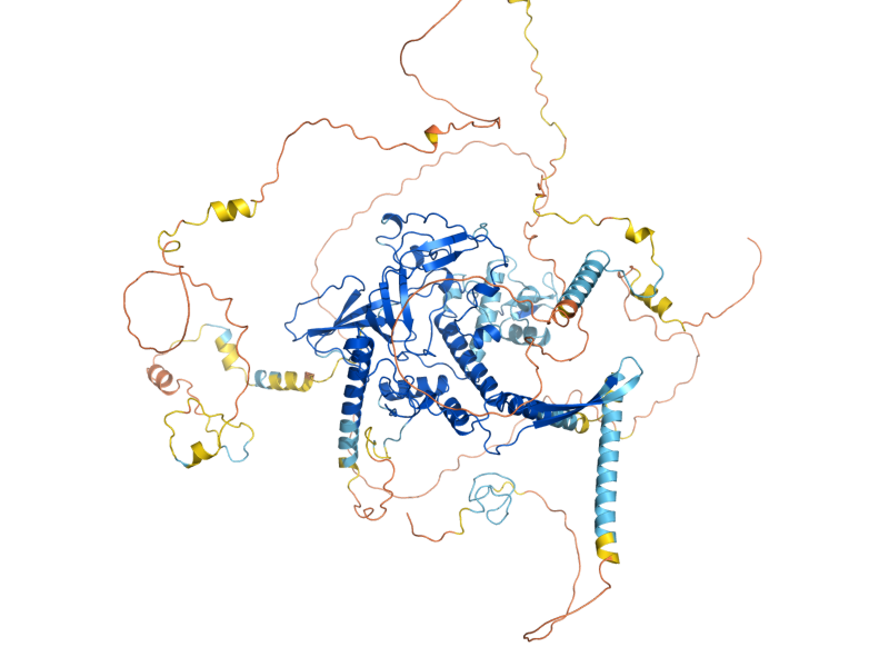AlphaFold predicted structure of TAF1