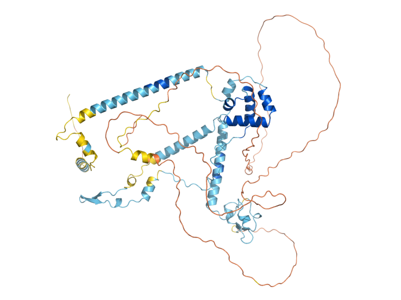 AlphaFold predicted structure of BDP1