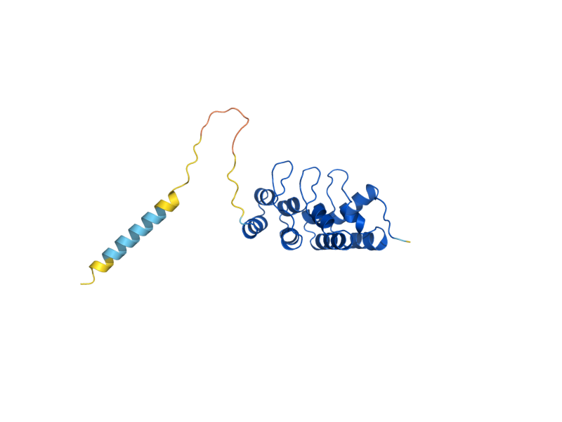 AlphaFold predicted structure of YAR1