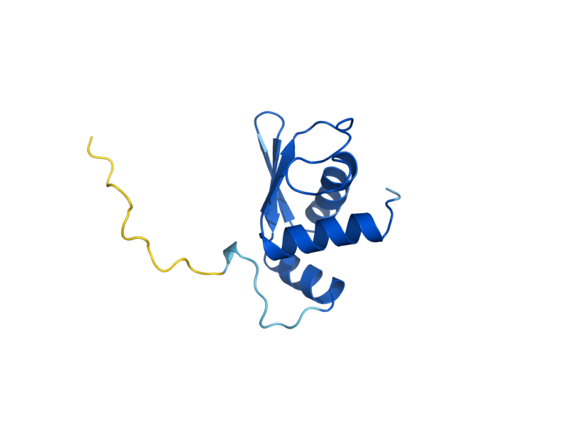 AlphaFold predicted structure of RPS10B