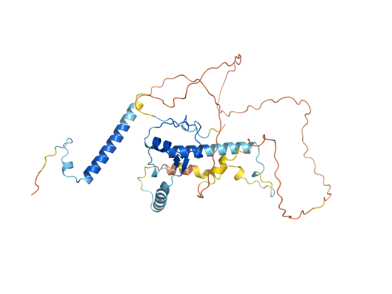 AlphaFold predicted structure of SAE2