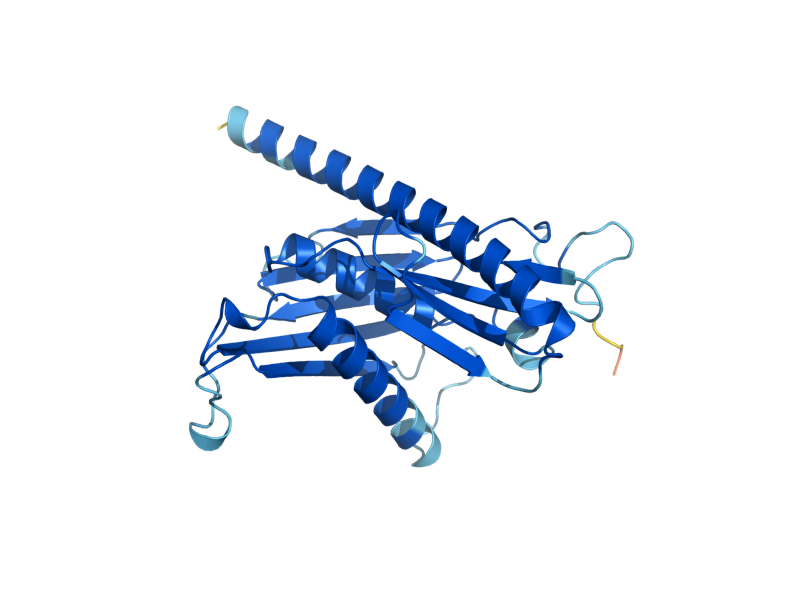 AlphaFold predicted structure of SKI6