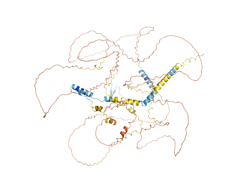 AlphaFold predicted structure of FYV8