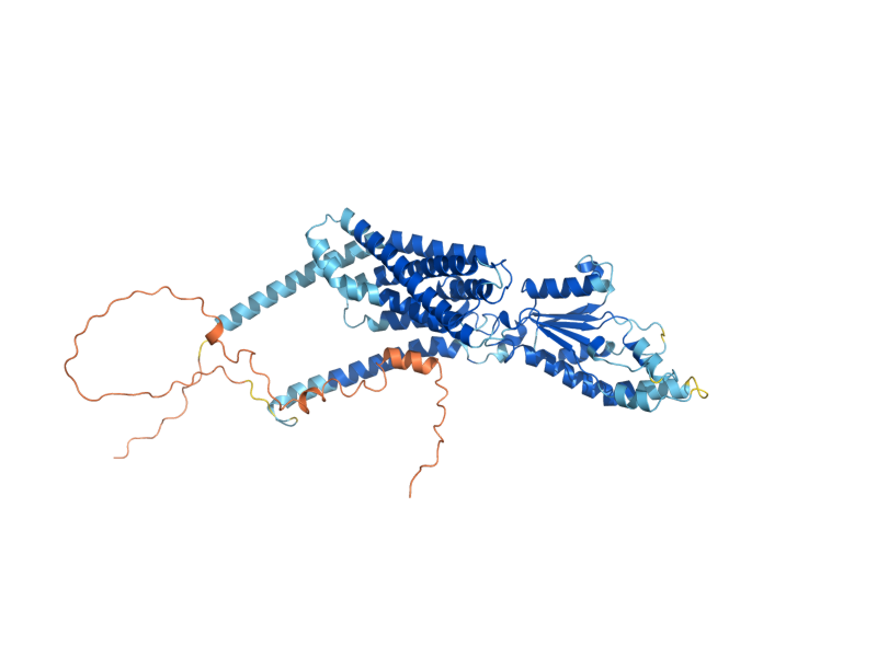 AlphaFold predicted structure of SNG1