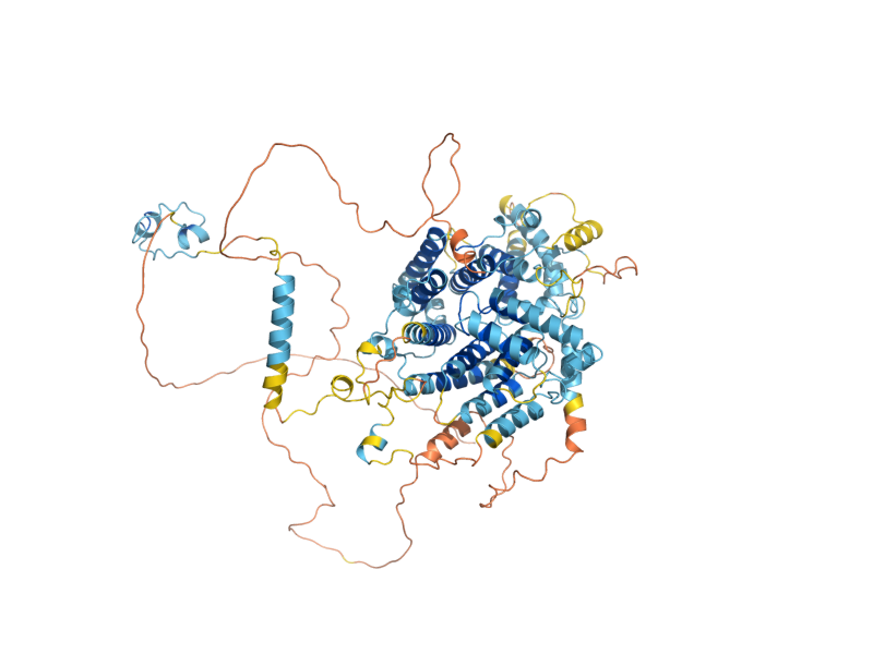 AlphaFold predicted structure of SIP4