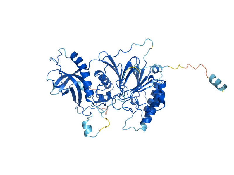 AlphaFold predicted structure of POL31