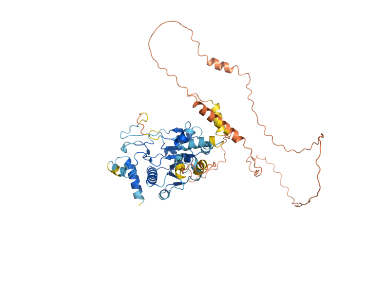 AlphaFold predicted structure of IDS2