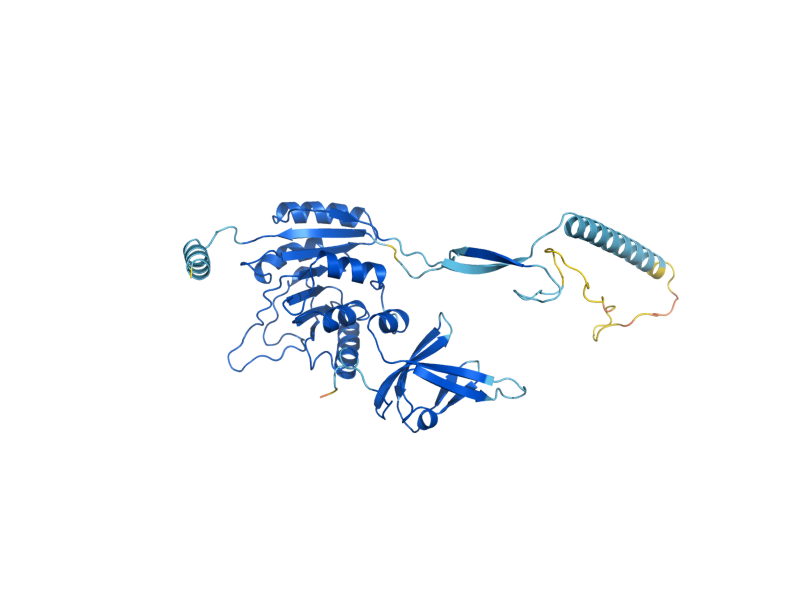 AlphaFold predicted structure of GCD14