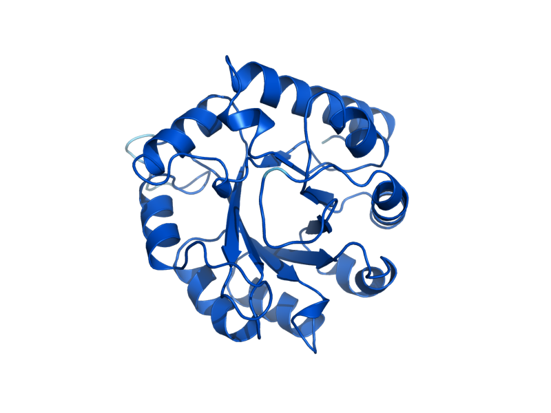 AlphaFold predicted structure of RPE1